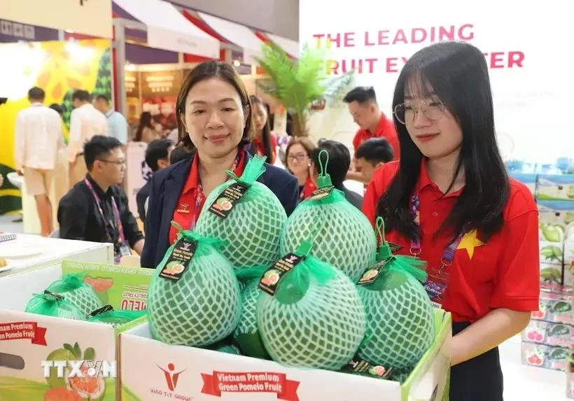 Le pamplemousse à peau verte du Vietnam présenté au salon. Photo: VNA