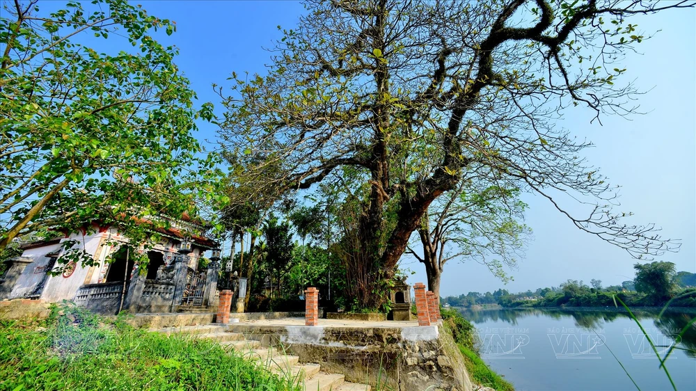 Phuoc Tich - le plus beau village antique de Huê