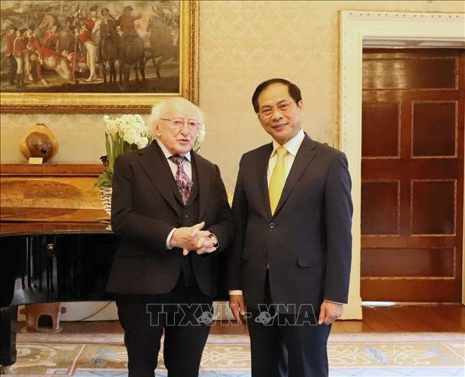 Le ministre des Affaires étrangères Bui Thanh Son et le président Michael D. Higgins au palais présidentiel irlandais le 28 février 2024. Photo: VNA