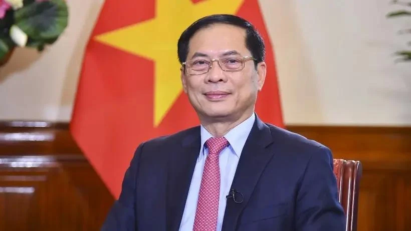 Le vice-Premier ministre et ministre des Affaires étrangères Bui Thanh Son. Photo: VNA