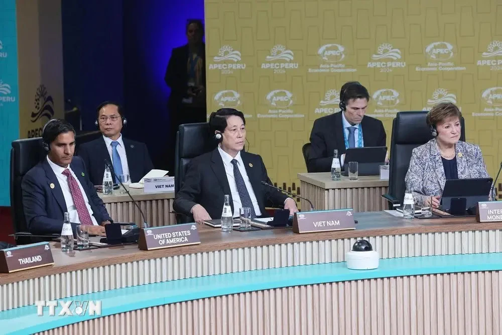 Le président vietnamien Luong Cuong (centre) au 31e Sommet de l'APEC. Photo: VNA