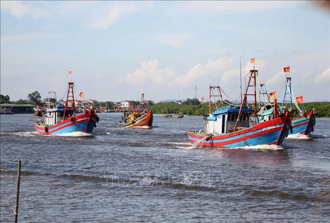 Nghe An traite sévèrement les bateaux de pêche sans licence. Photo : VNA