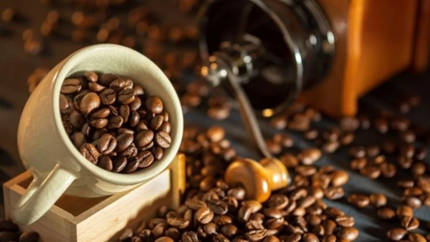 Au premier trimestre dernier, le Vietnam a exporté près de 600.000 tonnes de café pour un chiffre d'affaires d'environ 1,9 milliard de dollars. Photo : nhandan.vn