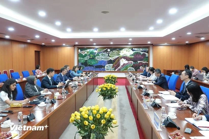 Le vice-ministre des Finances Vo Thanh Hung a eu une séance de travail avec Paulo Medas, chef de l'équipe de consultation de l'article IV du FMI à Hanoï le 26 juin. (Photo : BTC/VietnamPlus)