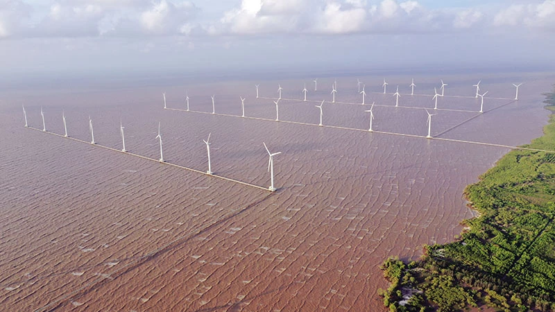 D'ici 2030, le Vietnam s'attend à avoir une puissance d'éolien offshore d'environ 6.000 MW ou même plus. Photo : baodautu.vn