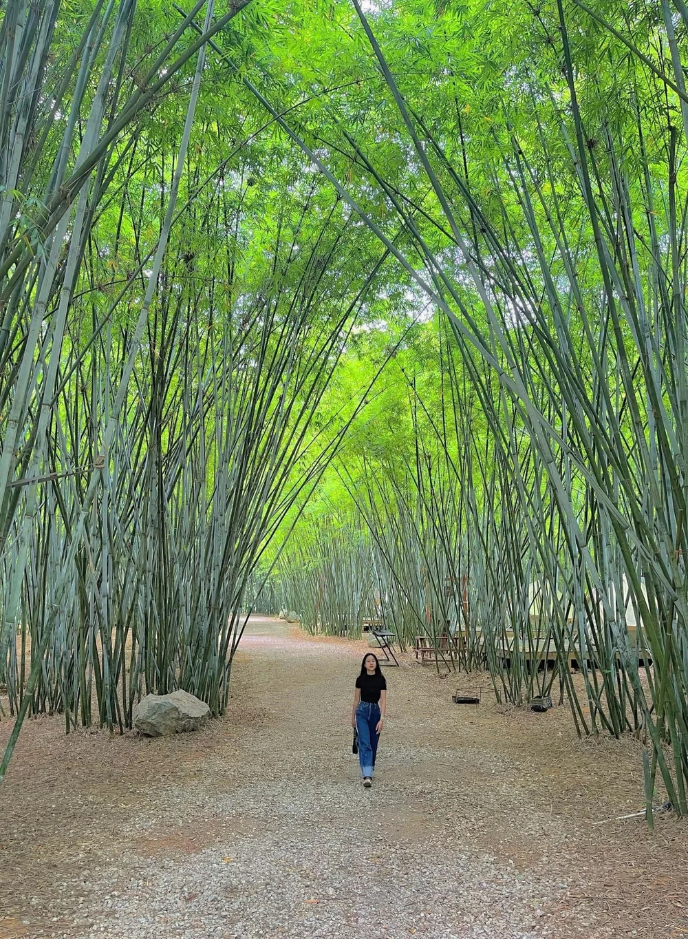 Avec une superficie de 10 hectares, le tourisme éco-culturel du village de Ven est un lieu d'expérience idéal pour de nombreux touristes. Photo : https://bandanvan.bacgiang.gov.vn/