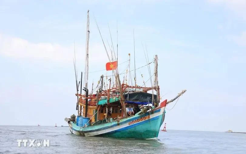 En sept ans de lutte contre la pêche INN, les organes compétents ont déployé des efforts importants. Photo : VNA