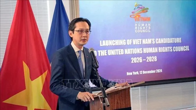 Le vice-ministre des Affaires étrangères, Do Hung Viet, s'exprime lors de la cérémonie. Photo : VNA