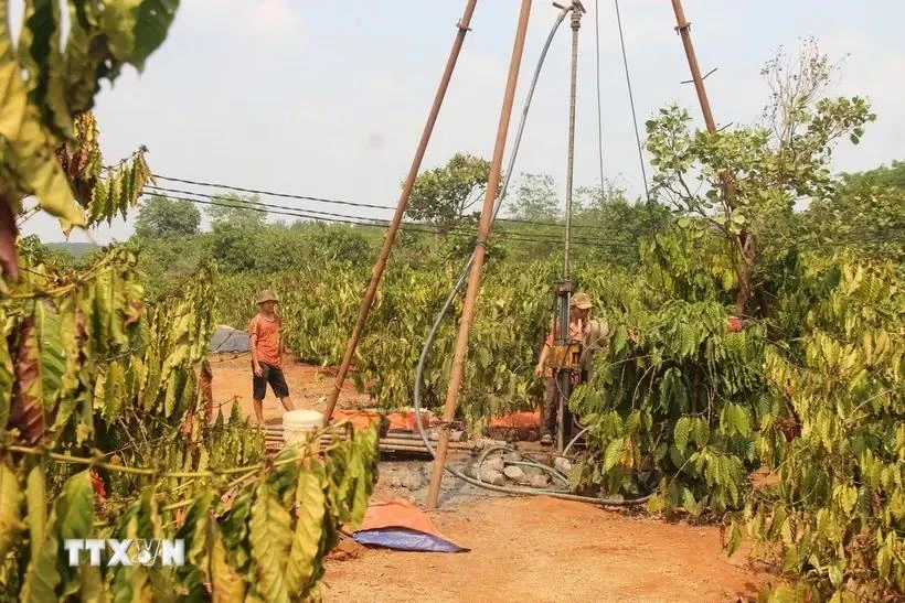 Los habitantes del distrito fronterizo de Duc Co perforan pozos para salvar la zona cafetera que sufre la sequía. (Foto: VNA)