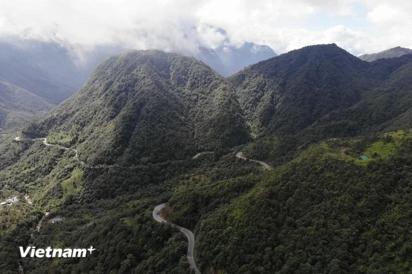 Determinar el potencial para reducir emisiones y absorber carbono de los bosques. (Foto: Vietnam+)