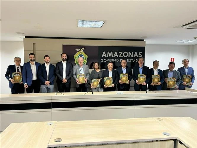 Representantes del Comité de la ASEAN en la sesión de trabajo con Wilson Miranda Lima, Gobernador del estado de Amazonas. Foto: VNA