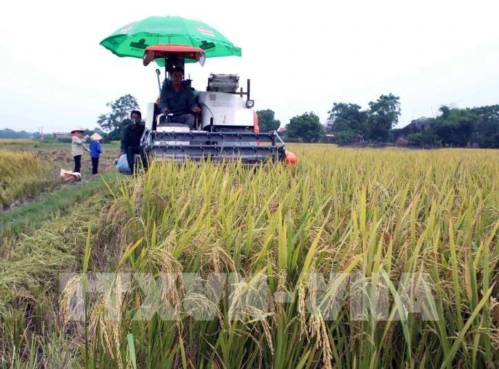 La provincia de Bac Giang promueve el turismo rural. (Foto: VNA)