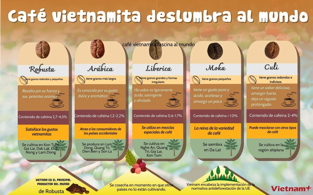 Café vietnamita deslumbra al mundo