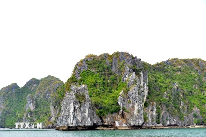 Las piedras calizas en la bahía de Ha Long (Fuente: VNA) 