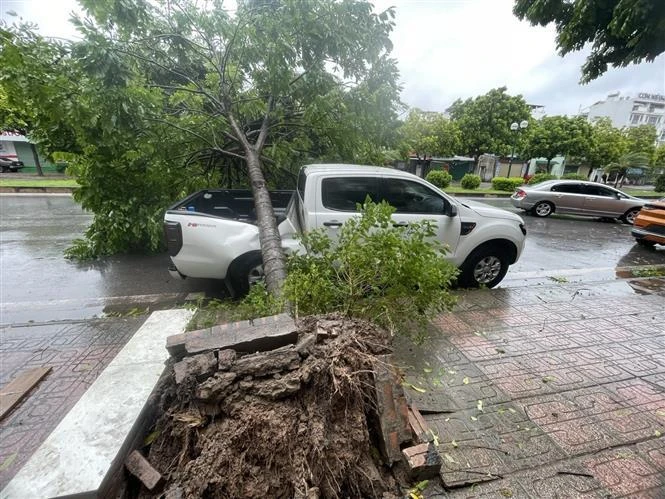 Un arbre tombé dans le quartier de Long Bien à Hanoi, écrasant une voiture garée au bord de la rue. Photo : VNA