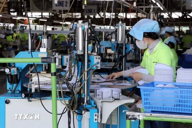 A l'usine de la sarl Chang Chun Vina Co., Ltd., pôle industriel d'An Ngai, district de Long Dien. Photo : VNA