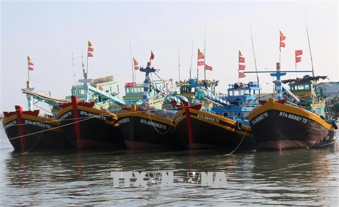 Binh Thuan's fishing vessels (Photo: VNA)