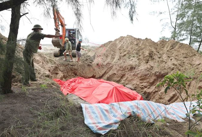 The whale carcass buried by local residents in Nghe An (Photo: VNA)