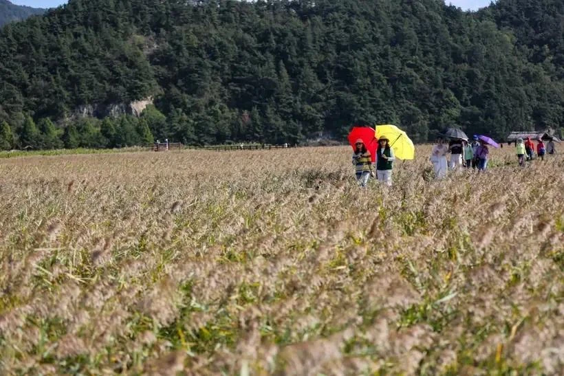 Tourists visit Suncheon Bay, the RoK (Photo: xinhua/VNA)