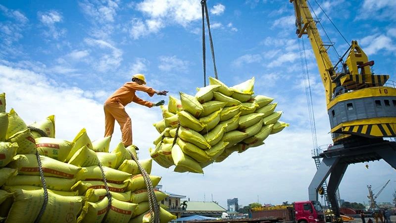 Rice is Vietnam's key export product to the Philippines (Photo: vneconomy.vn)