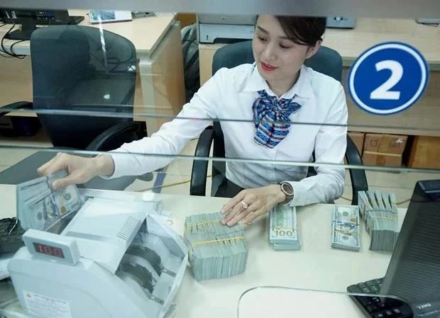 The State Bank of Vietnam sets daily reference exchange rate for the US dollar at 24,260 VND/USD on August 14. (Photo: VNA)