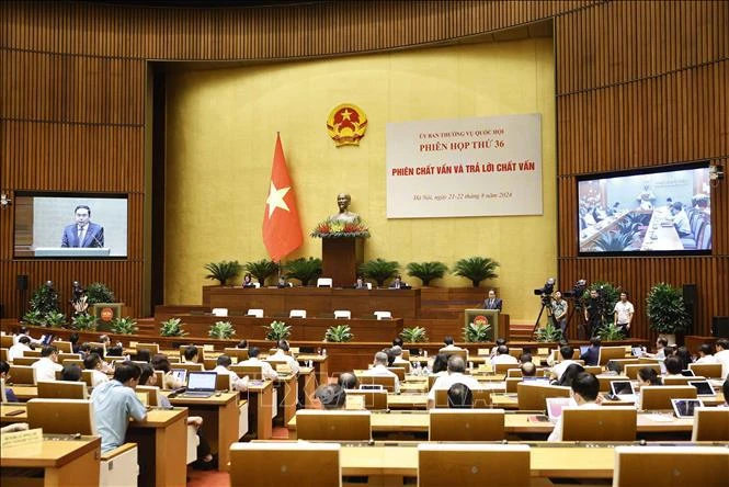 National Assembly Chairman Tran Thanh Man speaks at the session (Photo: VNA)