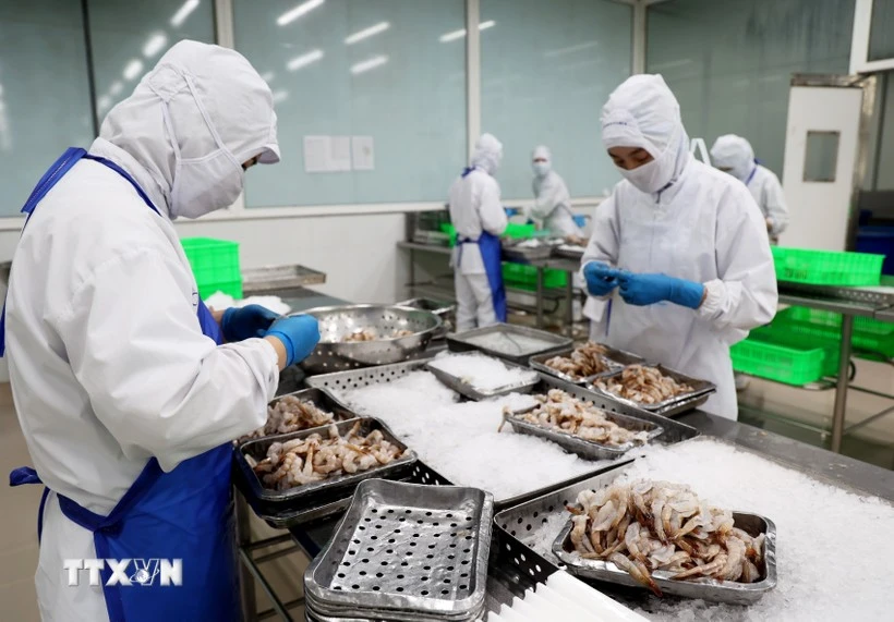 Seafood processing for export at COFIDEC company in Binh Chanh district, Ho Chi Minh City. (Photo: VNA)