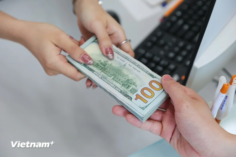 Current exchange rate fluctuations fall within a range controlled by the State Bank of Vietnam. (Photo: VietnamPlus)