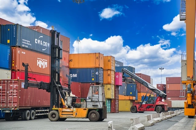 Export container of goods at Binh Duong province's port. (Photo: VNA)