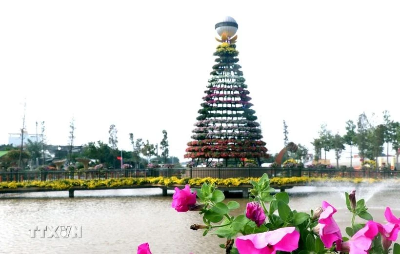 Colorful flowers adorn the preparations for the Xuan Quan Flower Village Festival in Van Giang, Hung Yen province. (Photo: VNA)