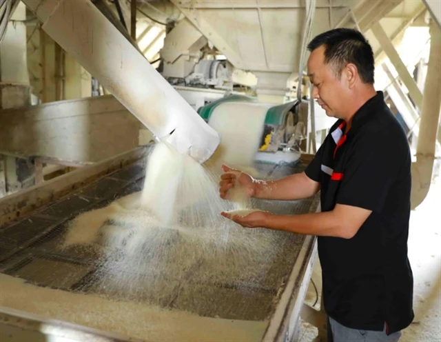 A worker checks the quality of wheat before it is packaged. (Photo: VNA) 