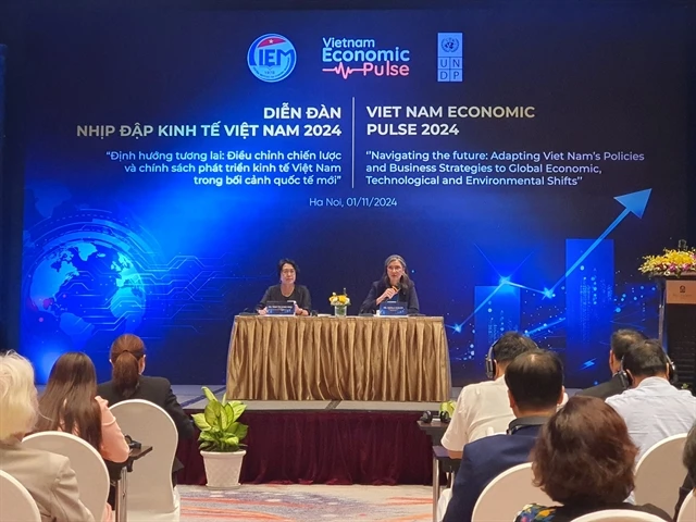 Ramla Khalidi, United Nations Development Programme (UNDP), and Tran Thi Hong Minh, President of the Central Institute for Economic Management. (Photo: VNA) 