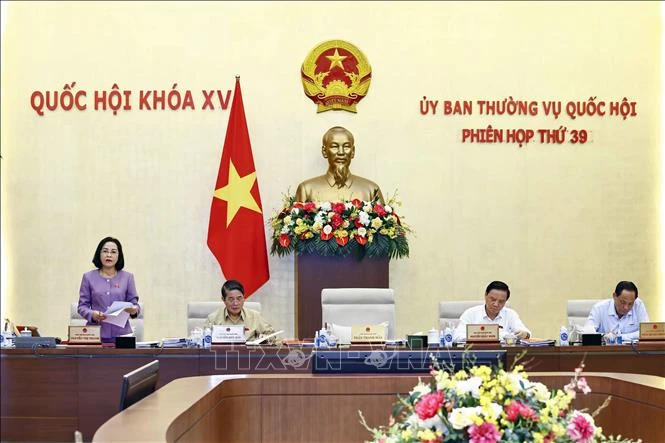 National Assembly Vice Chairwoman Nguyen Thi Thanh chairs the meeting. (Photo: VNA)