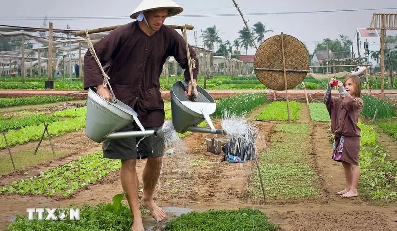 Tourists enjoy experiences at the Tra Que vegetable village in Hoi An, Quang Nam province. (Photo: VNA)