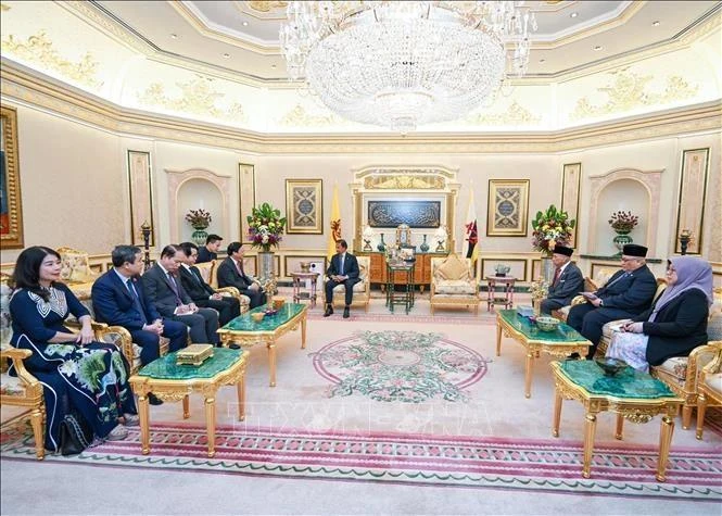 El vicepresidente de la Asamblea Nacional, Nguyen Khac Dinh, se reúne con el sultán de Brunei, Haji Hassanal Bolkiah, en Bandar Seri Begawan el 10 de agosto (Foto: VNA)