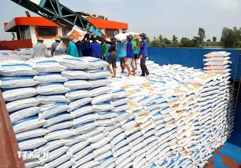 El arroz es el producto que ocupa mayor proporción en la estructura de las exportaciones de Vietnam a Cuba. (Fuente: VNA)