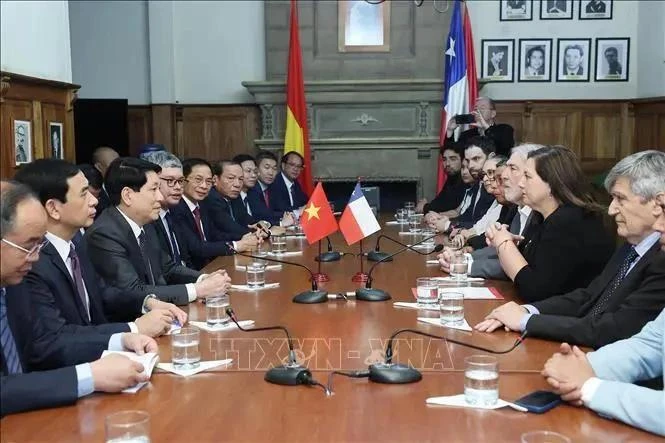 El presidente Luong Cuong recibe a la titular del Partido Socialista de Chile, Paulina Vodanovic. (Foto: VNA)