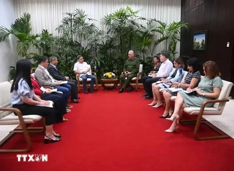 El presidente cubano, Miguel Díaz-Canel (a la derecha), recibe a representantes del empresariado vietnamita. (Foto: VNA)