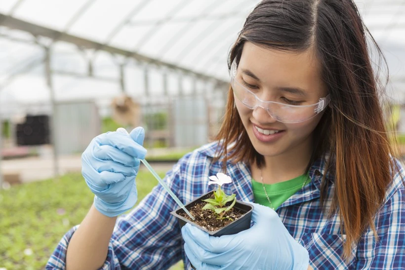 Women in STEM scholarship programme for excellent students to universities in the UK (Photo: VietnamPlus)