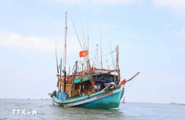 Ca Mau renforce le contrôle de sa flotte de pêche pour lutter contre la pêche INN. Photo: VNA