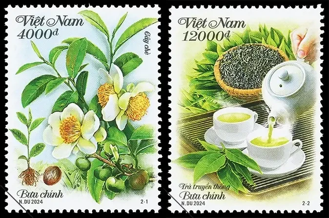 Deux échantillons de timbres présentant les théiers et la culture de thé du Vietnam. Photo: Vietnam Post 