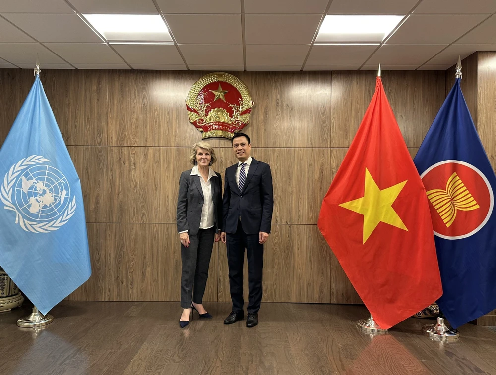 L'ambassadeur Dang Hoang Giang, chef de la Mission permanente du Vietnam auprès des Nations Unies (ONU) (droite) et Julie Bishop, envoyée spéciale du secrétaire général de l'ONU pour le Myanmar. Photo: VNA