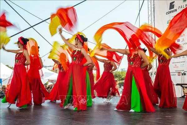 Représentation artistique lors de la Journée du Vietnam en Slovaquie. Photo: VNA