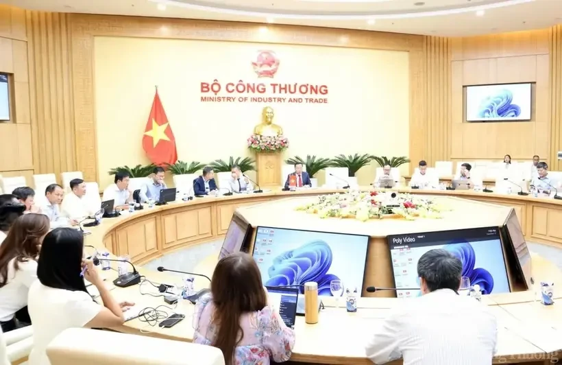 Le vice-ministre de l'Industrie et du Commerce Nguyên Hoang Long reçoit à Hanoi l'ambassadrice de Norvège au Vietnam, Hilde Solbakken. Photo: ministère de l'Industrie et du Commerce