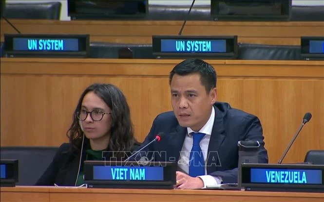 L'ambassadeur Dang Hoang Giang, chef de la Mission permanente du Vietnam auprès de l'ONU. Photo: VNA