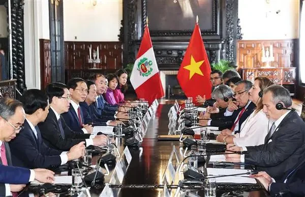 Le président Luong Cuong s'entretient avec son homologue péruvienne, Dina Ercilia Boluarte Zegarra. Photo: VNA