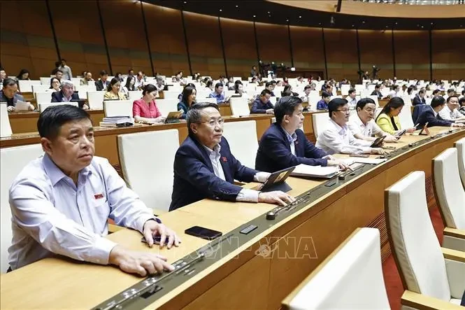 L'Assemblée nationale adopte la Loi sur l’investissement public (modifié). Photo: VNA