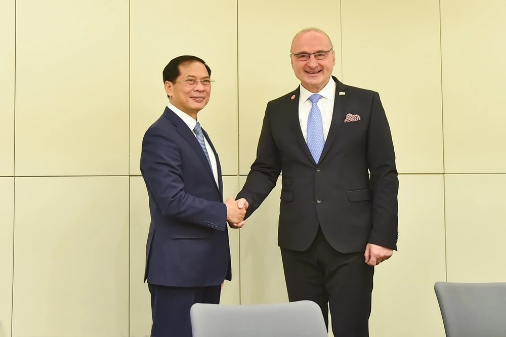 越南外交部部长（左）与克罗地亚外交和欧洲事务部长戈尔丹·格尔里奇·拉德曼。图自AAP/越通社