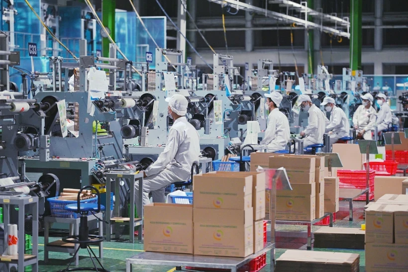 A production line at a factory. Photo: An Phat Holdings/VietnamPlus