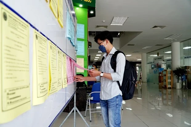 A young worker looks for job information. Photo: VietnamPlus